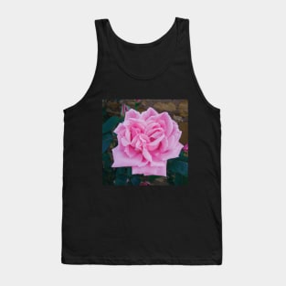 Vintage pink rose Tank Top